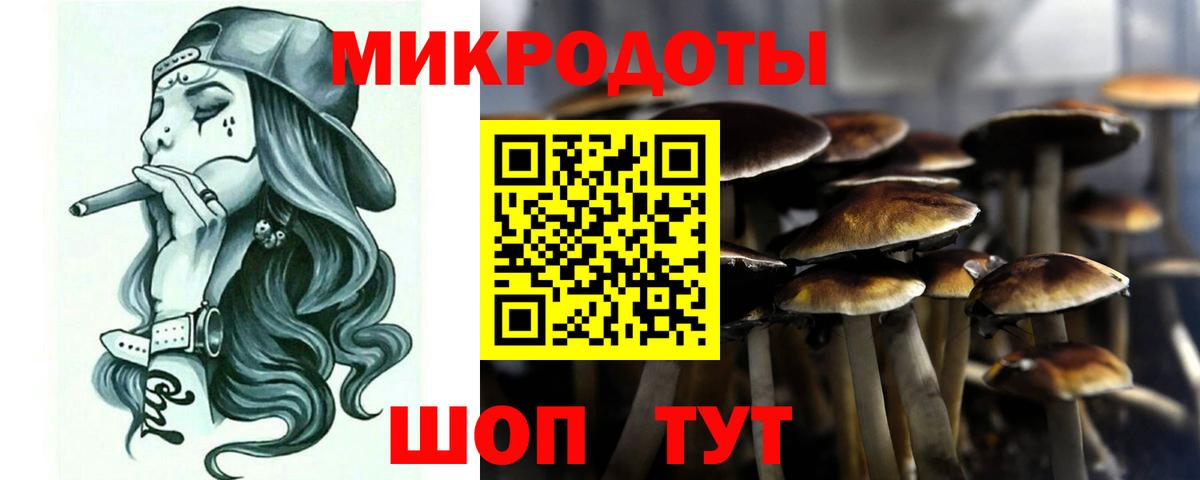 Елизово  Галлюциногенные грибы мицелий  Вход с VPN 